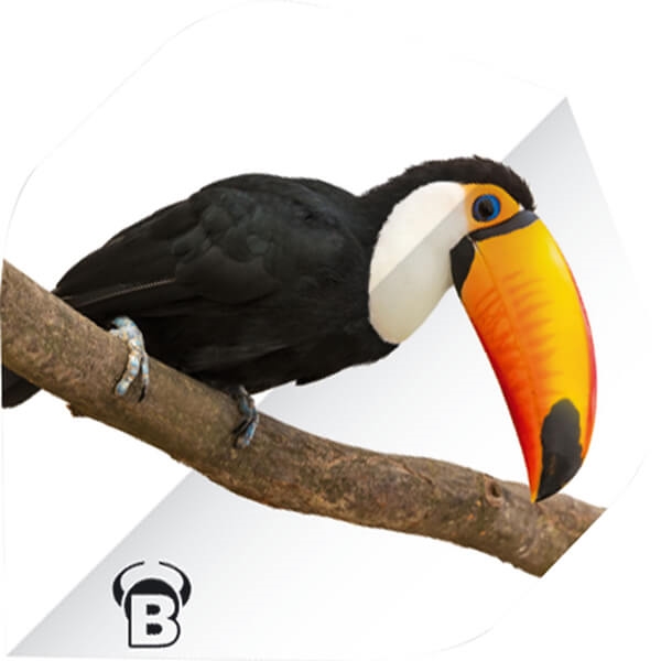 Motex flyg - Toucan